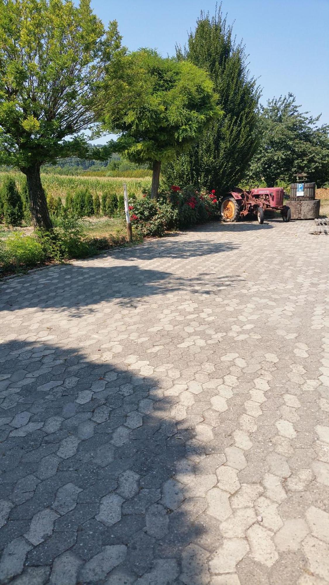 Ferienwohnung Rombachs Spatzennest Herbolzheim Exterior foto